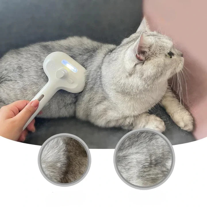 Electric Rechargeable Steam Pet Brush for Dogs