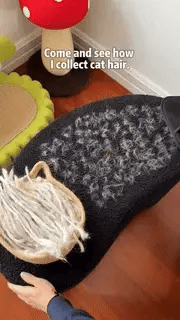 GroomEase Pet Hair Remover Glove for Daily Brushing